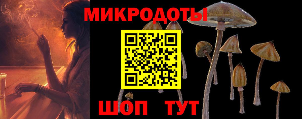 Псилоцибиновые грибы мицелий  Вход с VPN  наркотики  Дедовск  Псилоцибиновые грибы Psilocybe 