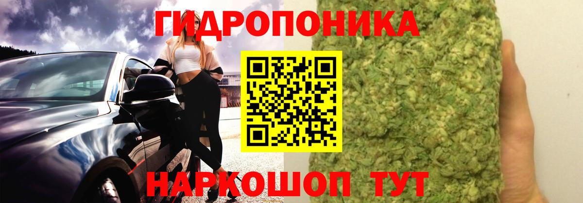 Конопля THC 21%  Марихуана план  Бошки Шишки тримм  Вход с VPN  Дедовск  Канабис SATIVA & INDICA 